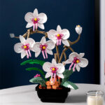 White Phalaenopsis flower building blocks