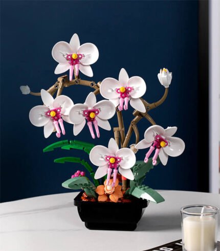 White Phalaenopsis flower building blocks