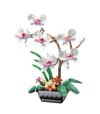 White Phalaenopsis flower building blocks