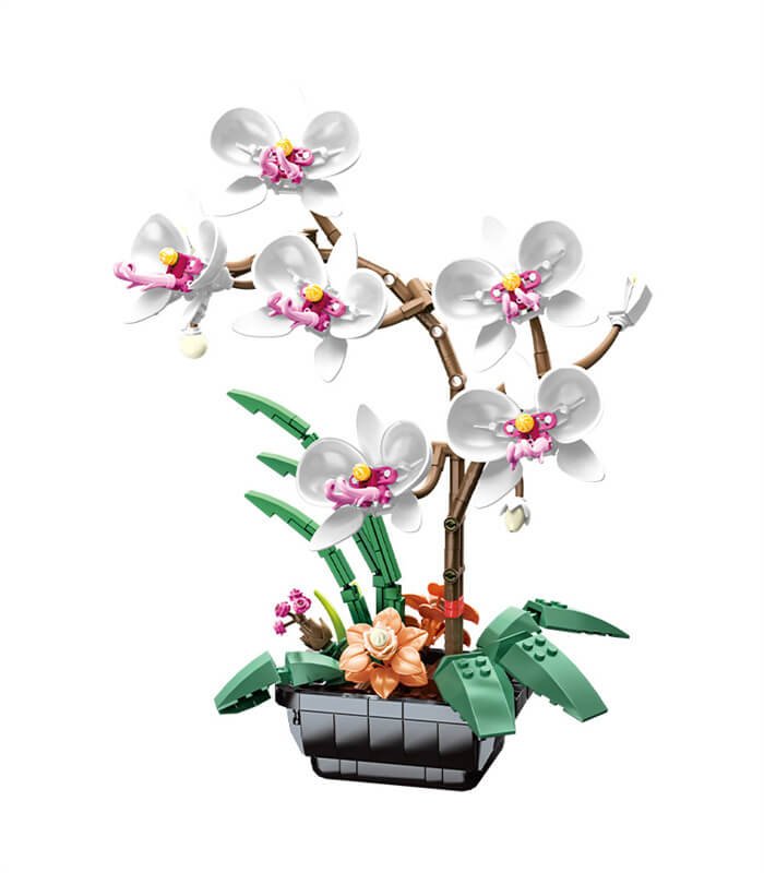 White Phalaenopsis flower building blocks